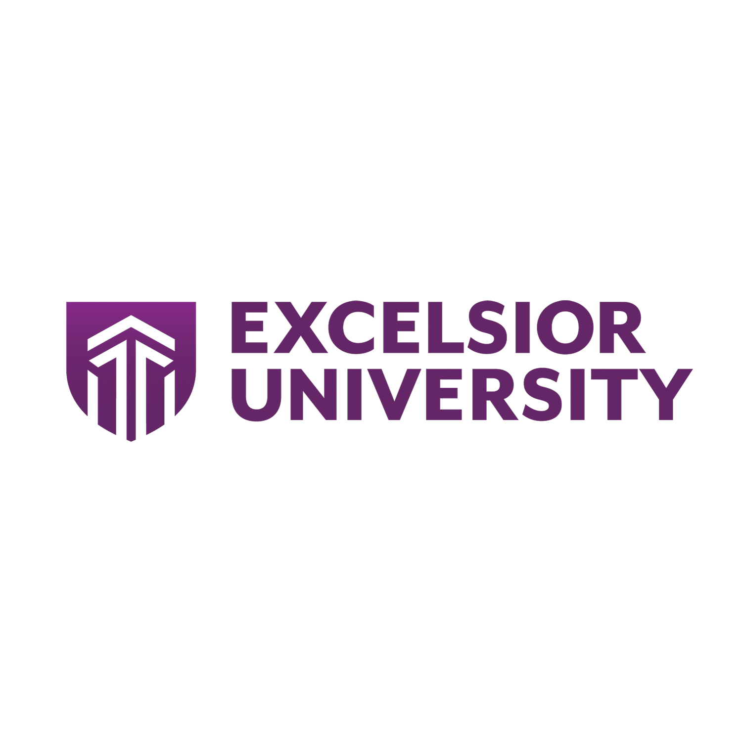 Excelsior University - Faculty